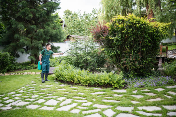 Best Local Pest Control Services  in Mount Olive, AL