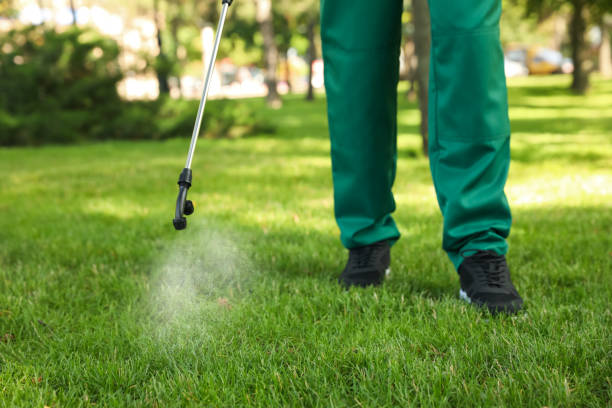 Best Affordable Pest Control Services  in Mount Olive, AL