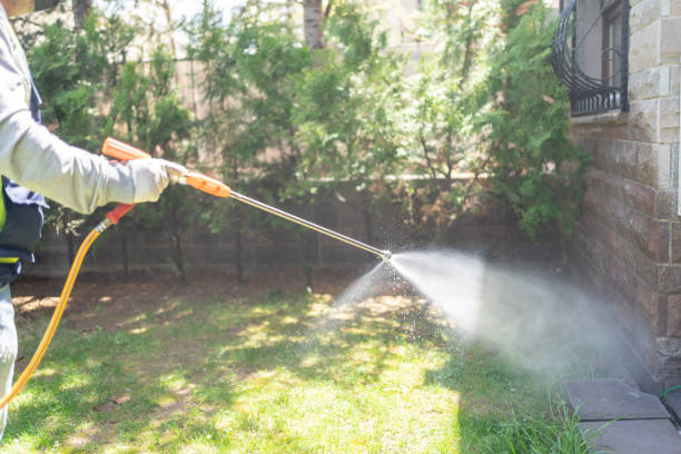 Bird Control in Mount Olive, AL