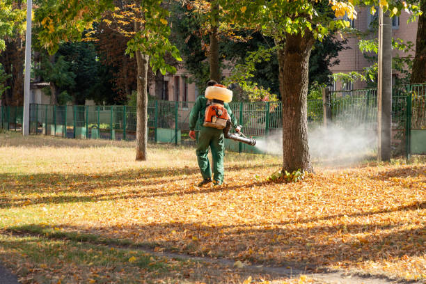 Best Bed Bug Extermination  in Mount Olive, AL