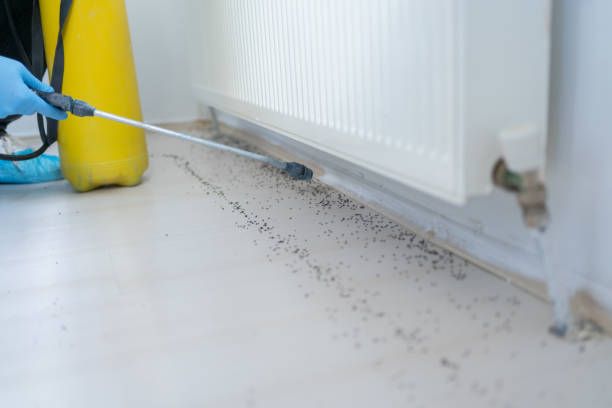 Best Best Pest Control Companies  in Mount Olive, AL